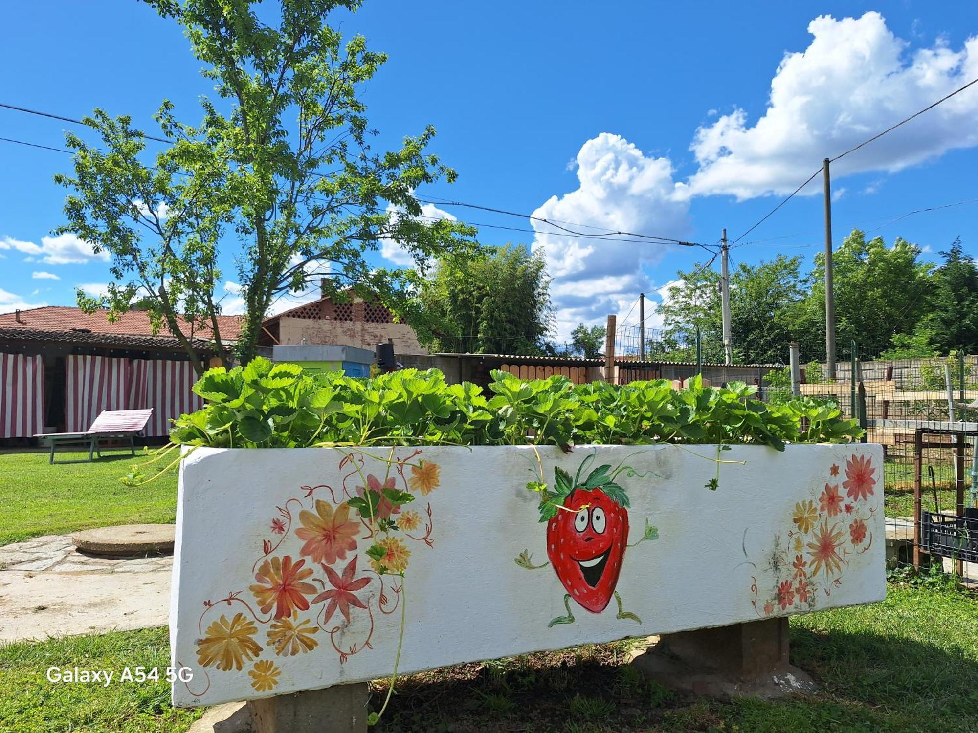 Vila Casa Matilde Leinì Exteriér fotografie